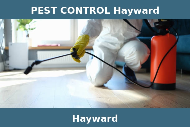 PEST CONTROL Hayward